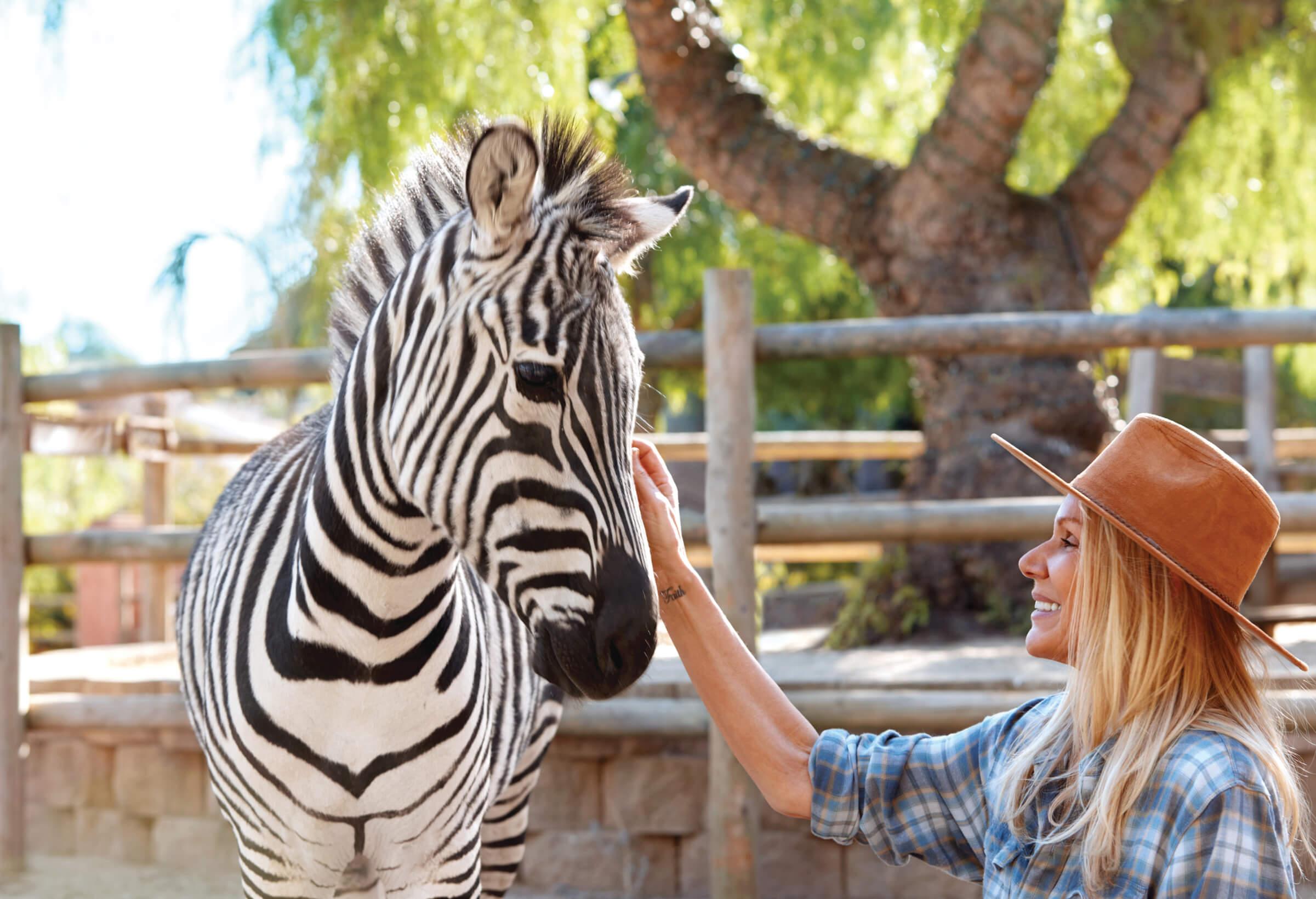 Photo of Clair Staples petting a Zebra