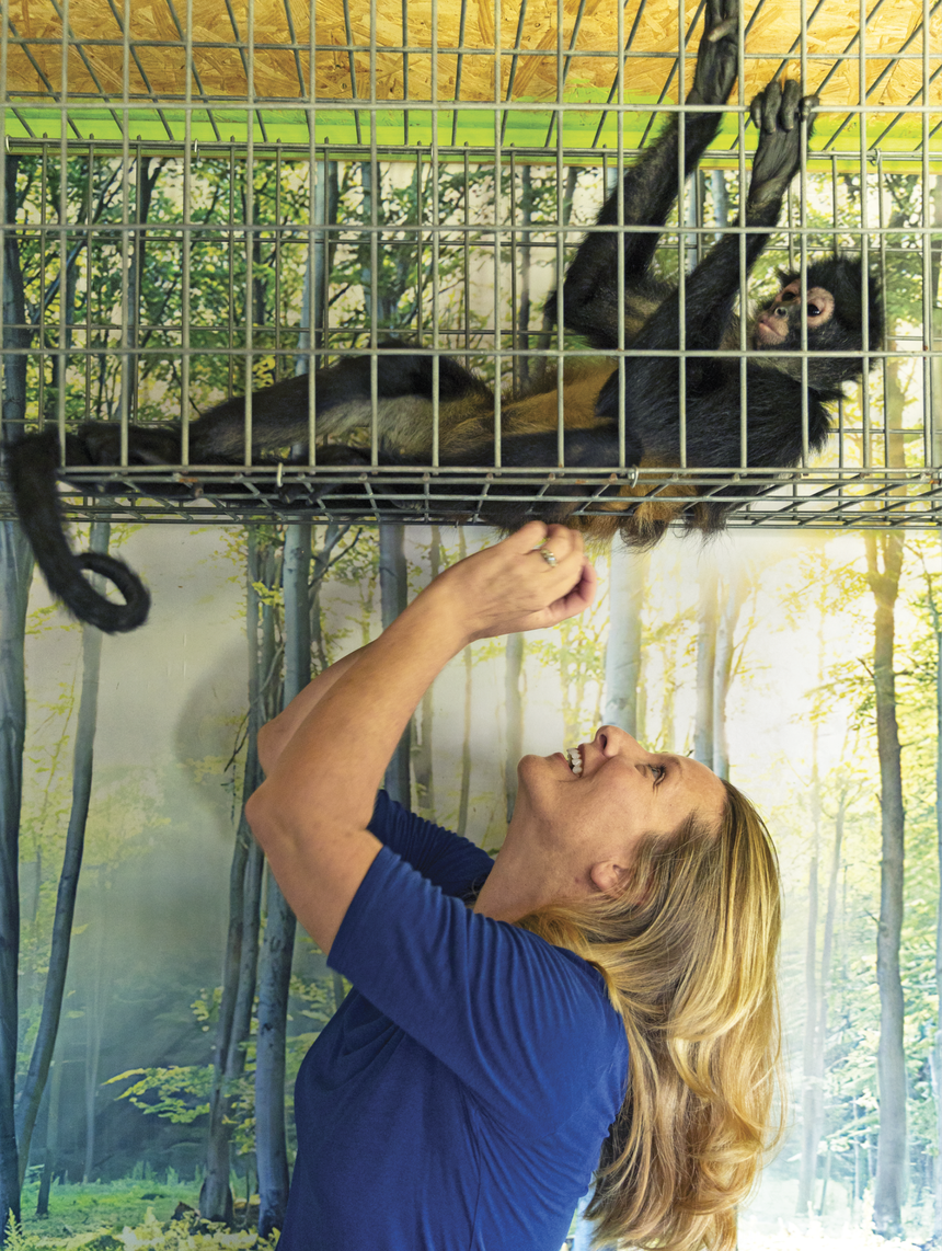 Photograph of a woman looking up and touching a monkey that is sitting in a cage above her