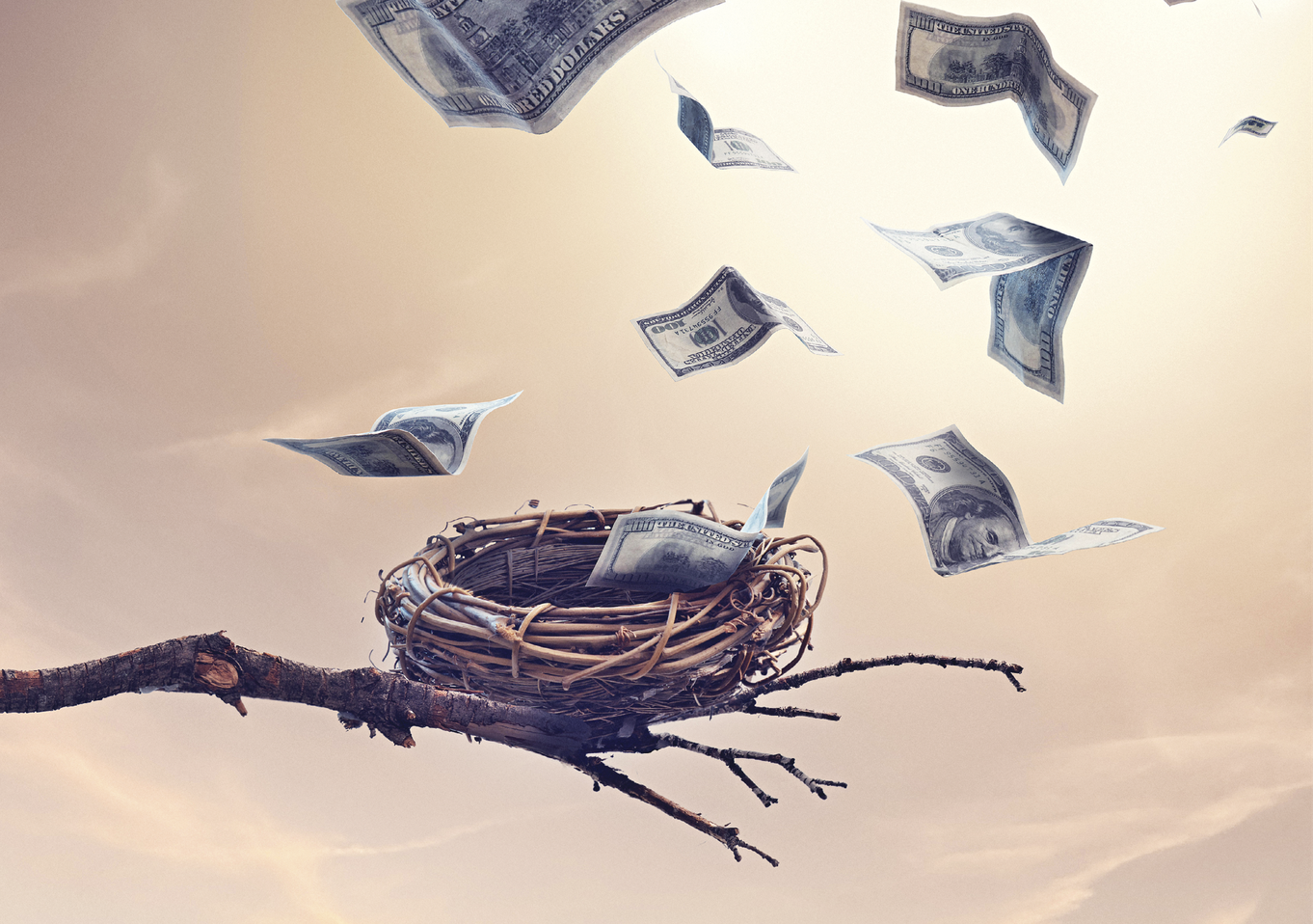 A bird's nest with dollar bills flying out of it&nbsp;