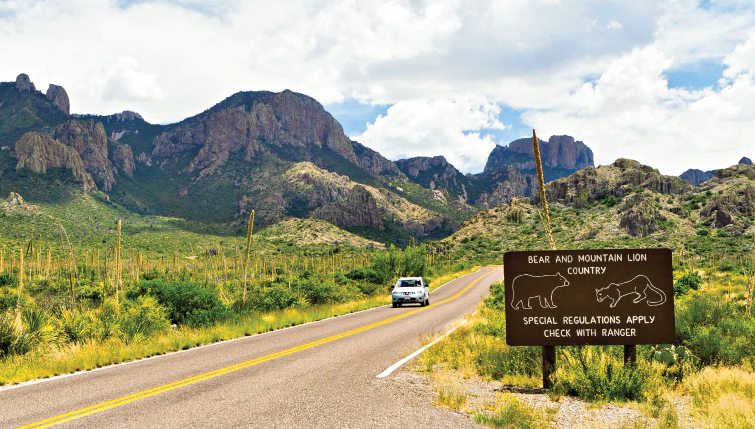 Image of car driving in Big Bend National Park