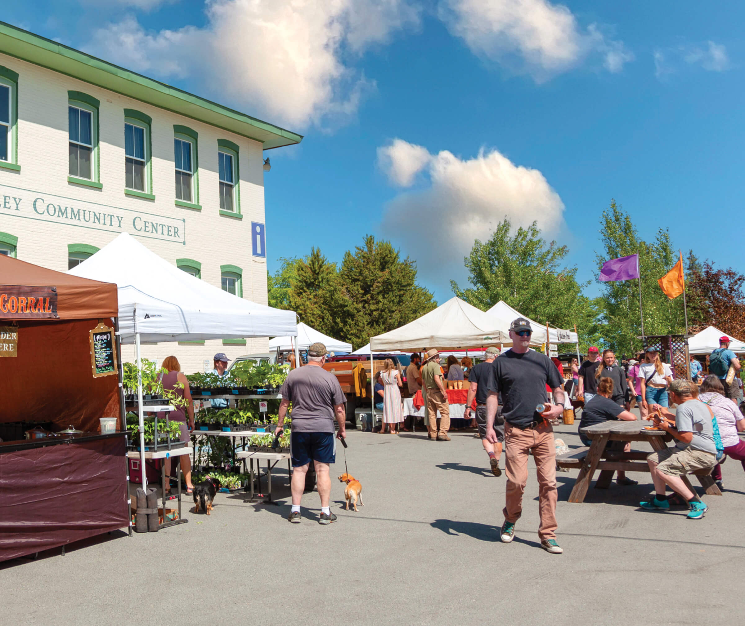Photo of farmers market on sunny day