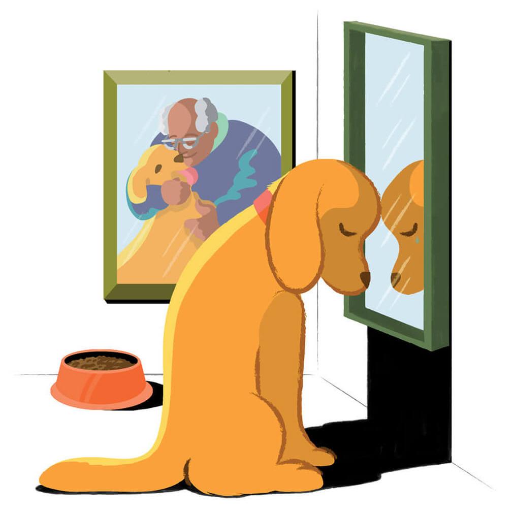 Illustration of sad dog, with a portrait of dog and owner in background