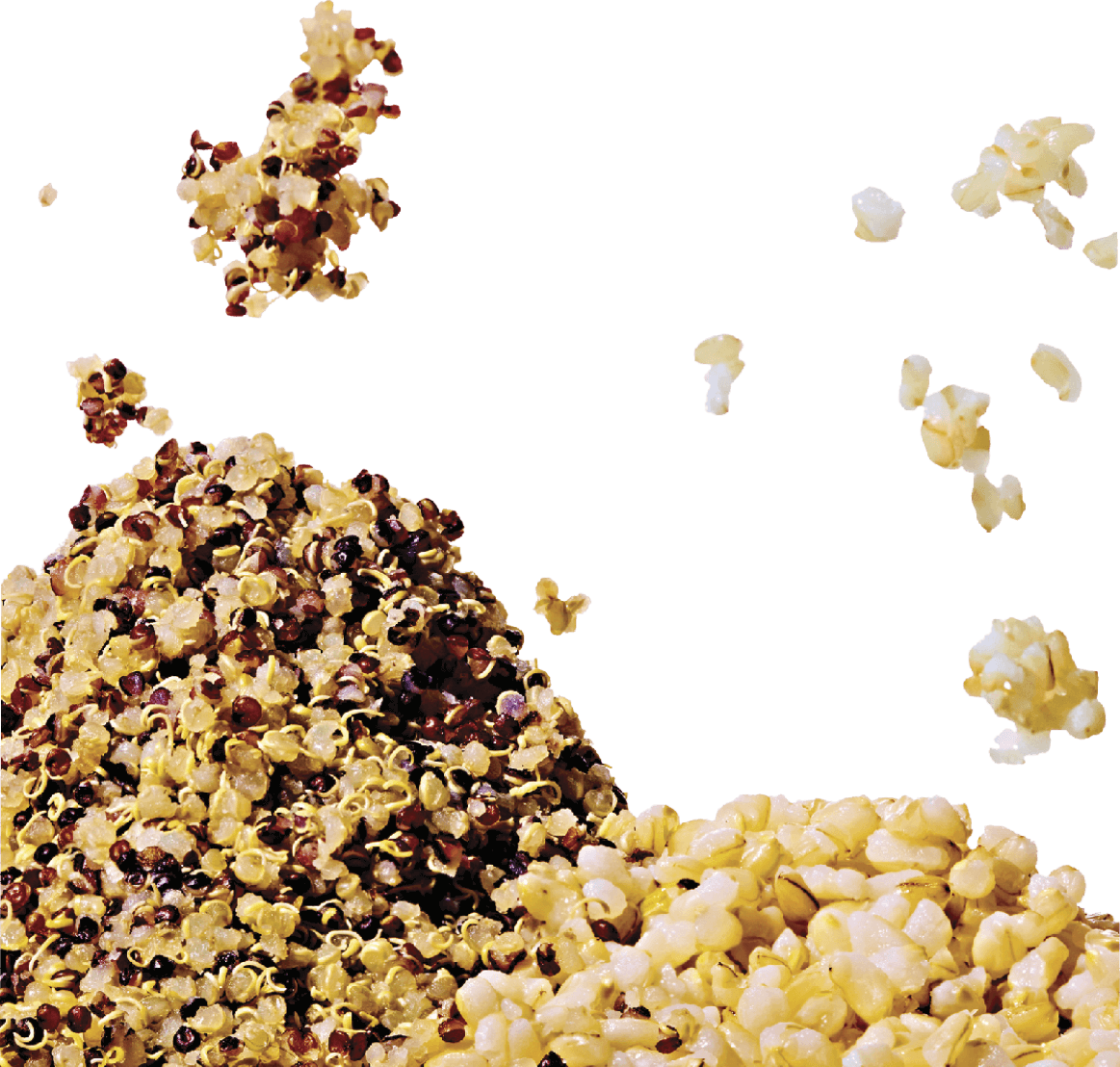 Photo of stacks of quinoa and brown rice next to each other