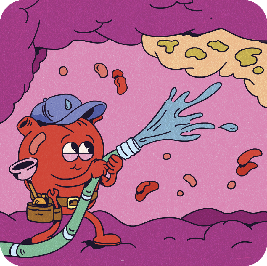 Illustration of the heart using a water hose to clean up things in the body 