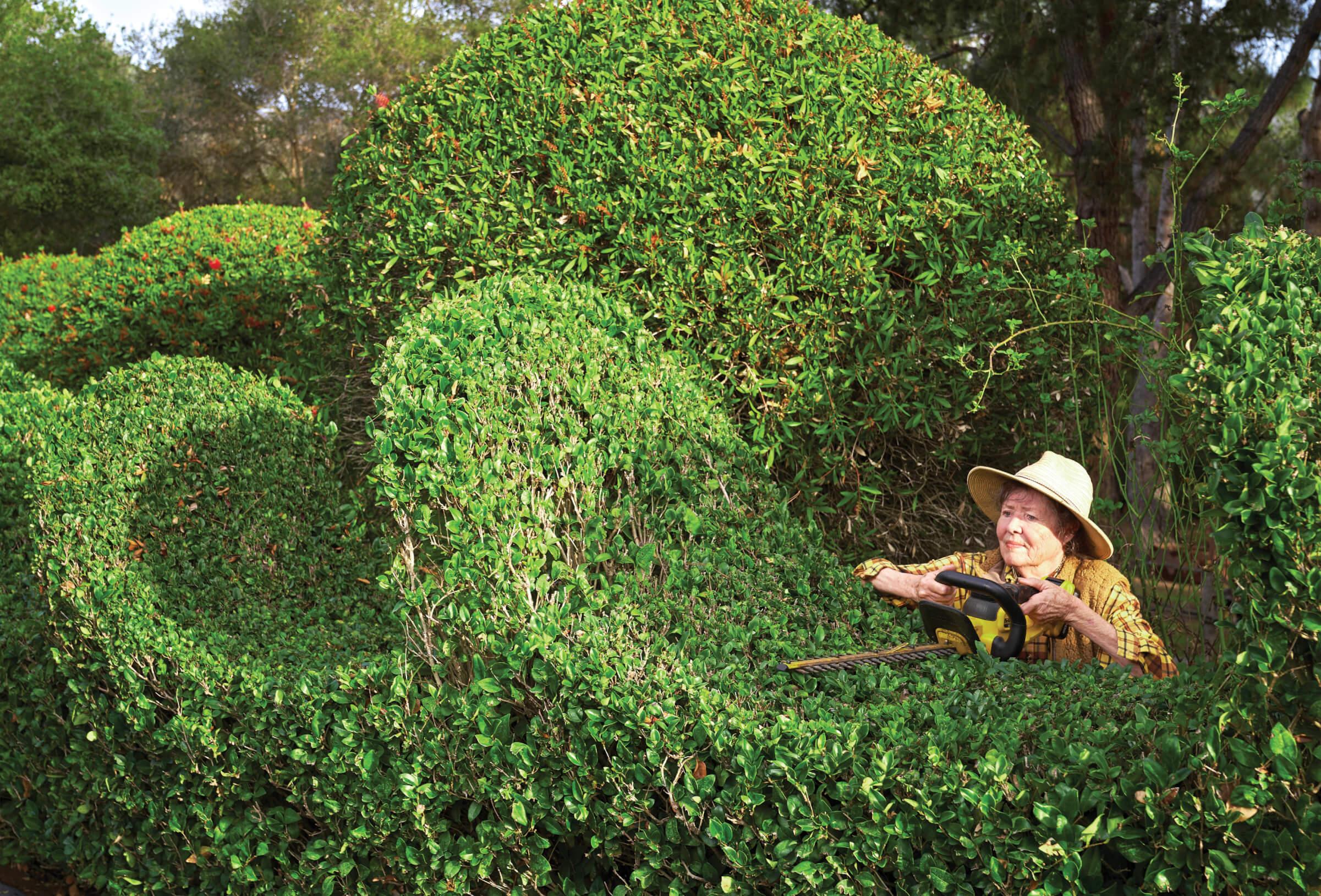 Photograph of Jennifer Coburn trimming the hedge waves in her home’s driveway
