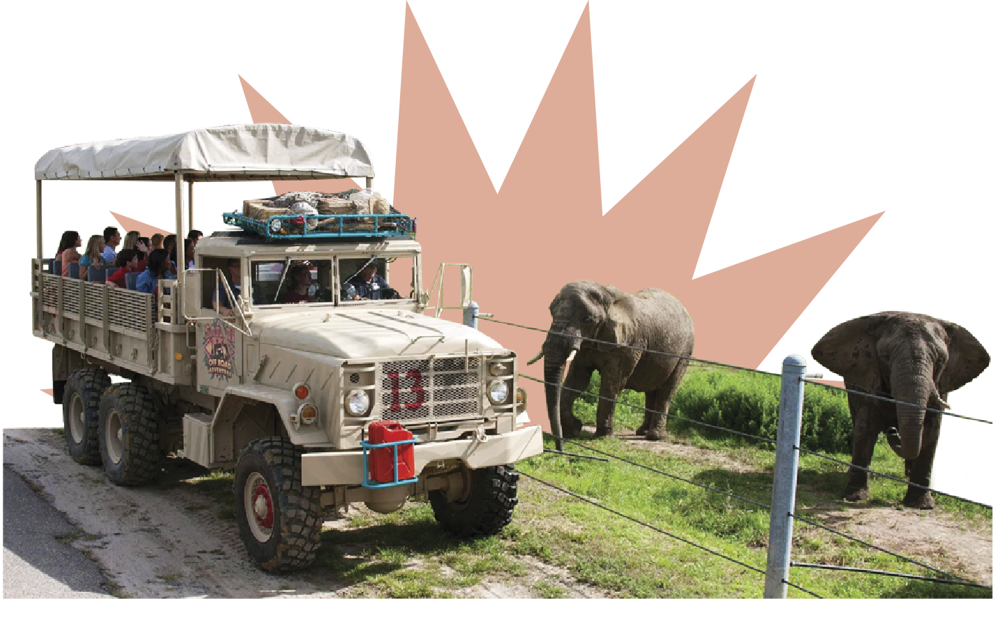 A wild safari jeep with several people in it looking at the elephants around 
