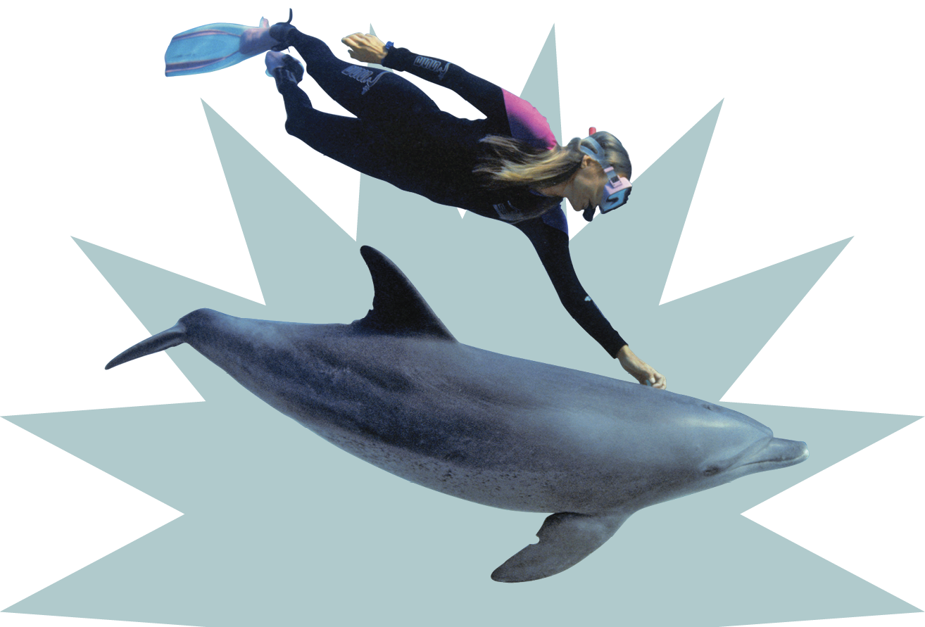 Image of a person diving alongside a dolphin in Discovery Cove in Orlando 