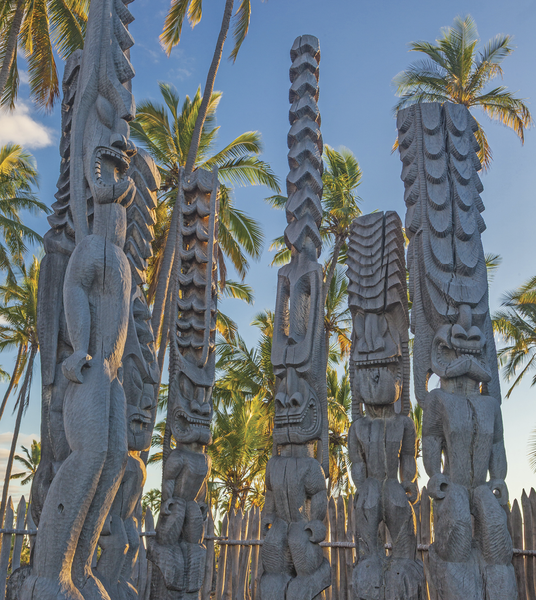 Several towering wooden tiki statues with intricate carvings and expressive faces stand behind a rustic fence.