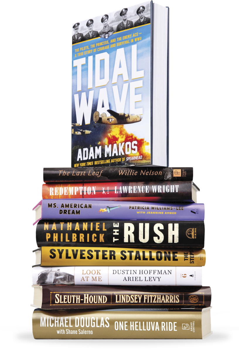 Photograph of a stack of the following books- Tidal Wave, The Lost Leaf, Redemption, Ms. American Dream, The Rush, The Steps, Look at Me, Sleuth-Hound and One Helluva Ride