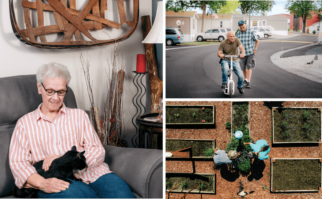 Photograph of Sandy Cook sitting on a grey couch with a cat in her lap. Photograph of 2 male residents on the streets. Top view of 2 women residents gardening 