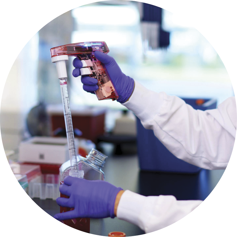 Image of hands holding up a test tube in a lab 