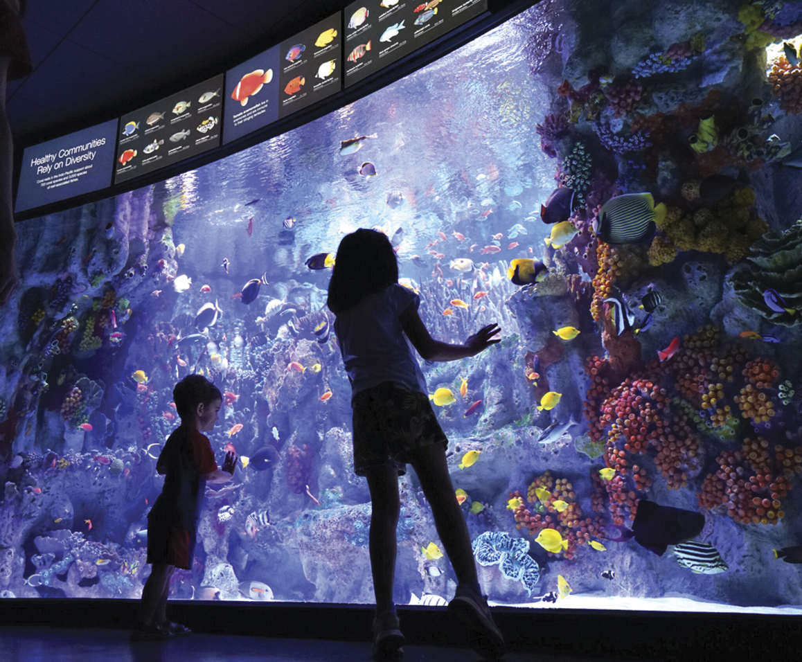 Photograph of children in a museum 