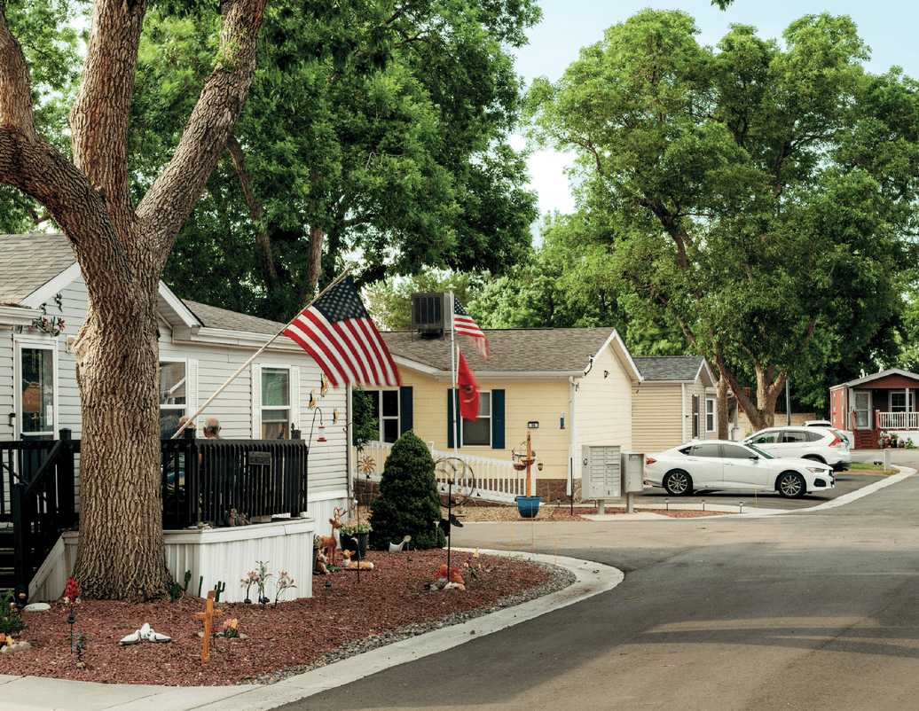 Image of the streets of Meadowood showcasing various houses with the American flag hoisted outside their houses 
