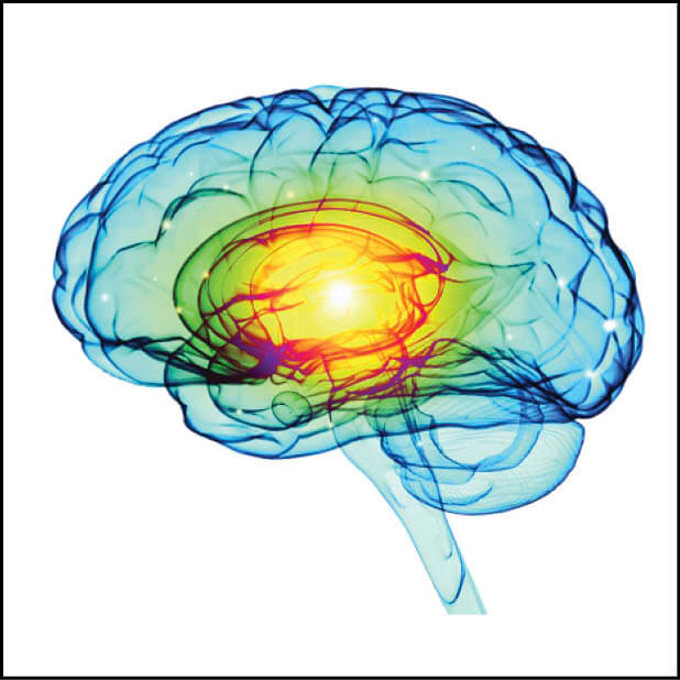 Illustration of a cerebrospinal fluid test on a human brain