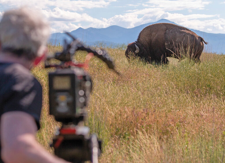 Photo of a scene from the PBS documentary The American Buffalo