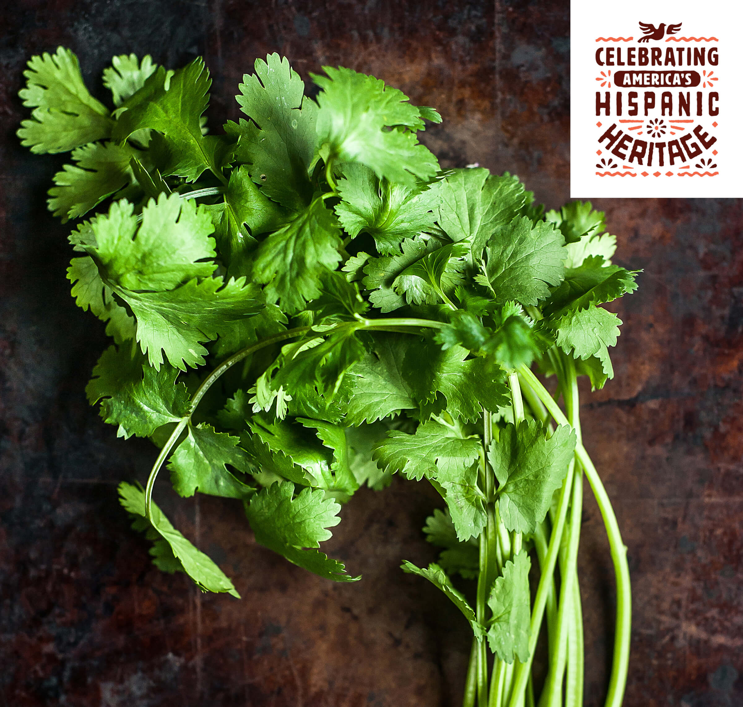 Photo of a bunch of cilantro