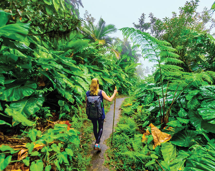 Photo of a woman hiking a tropical trail in Saba