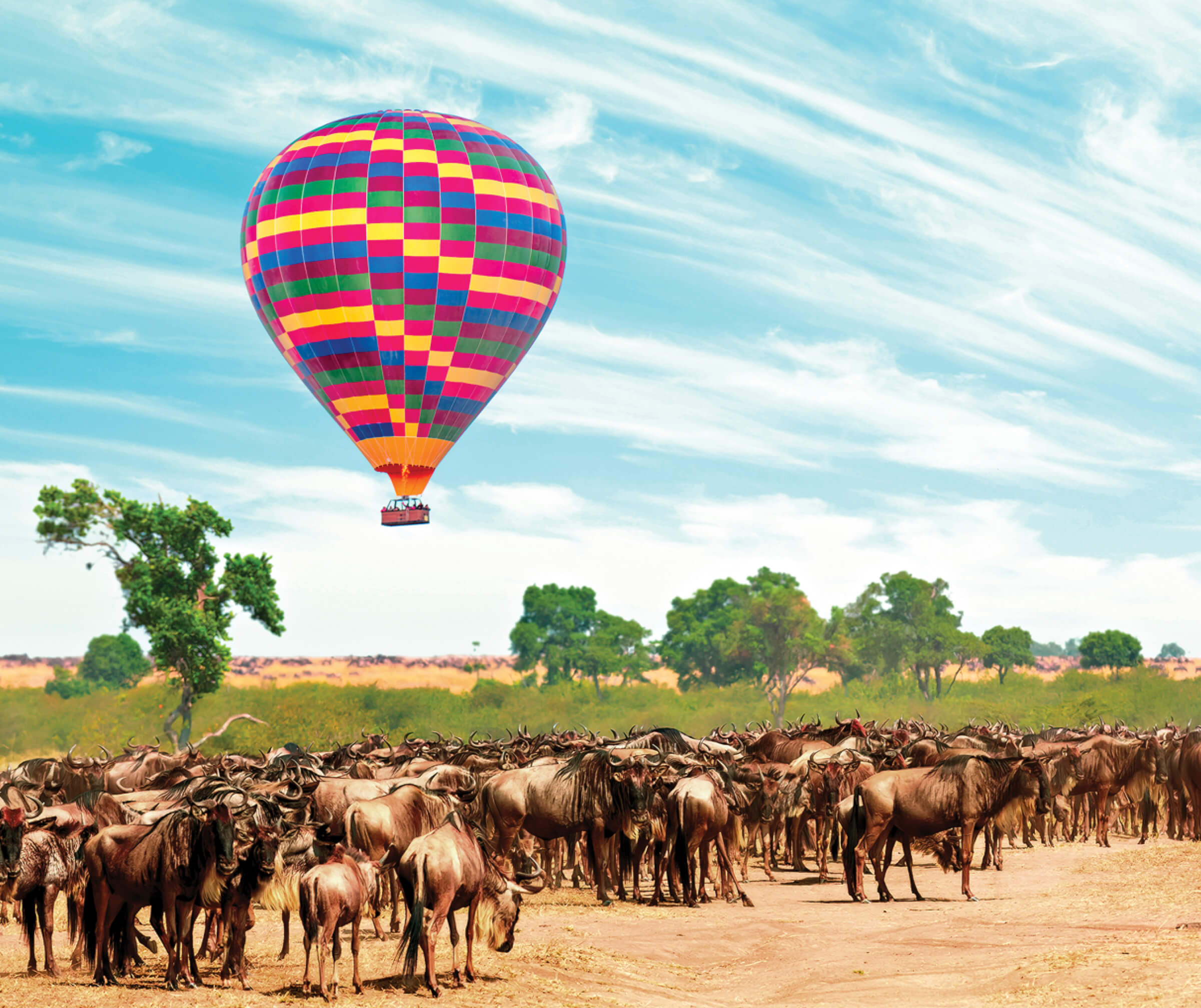 Colorful hot-air balloon in the sky over an African savanna