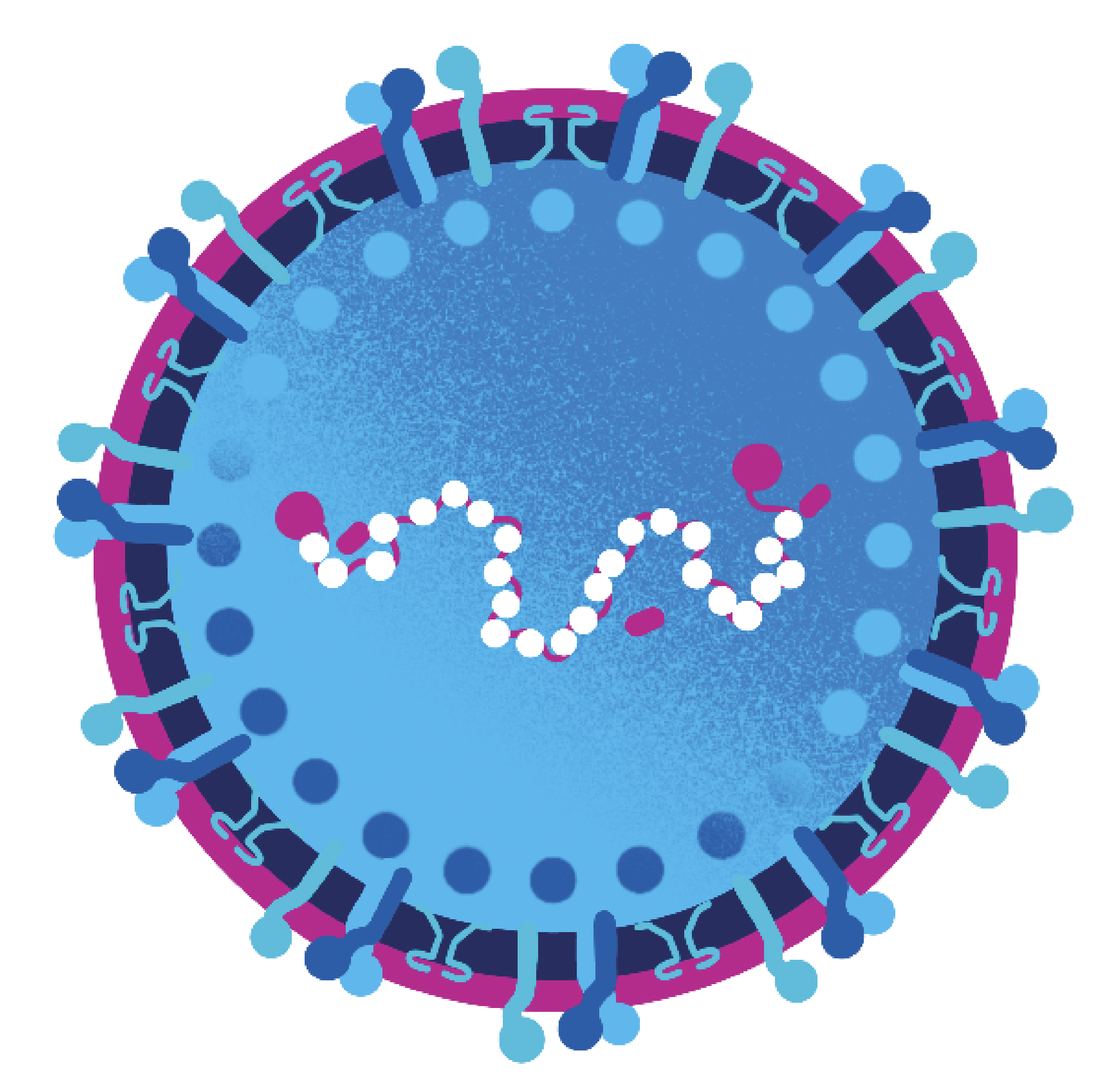 Illustraion of RSV 