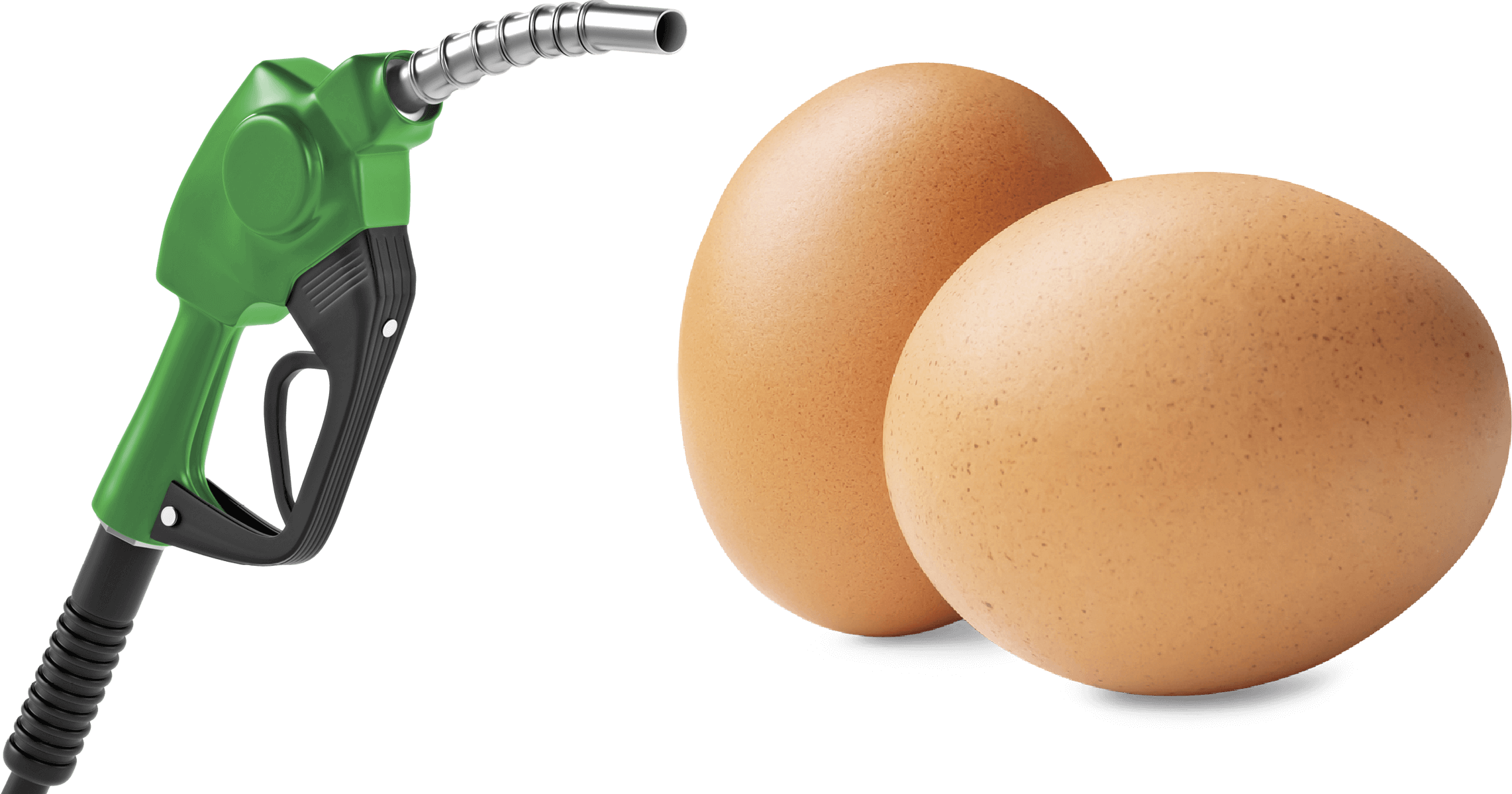 Image of a green fuel nozzle. 2 brown eggs