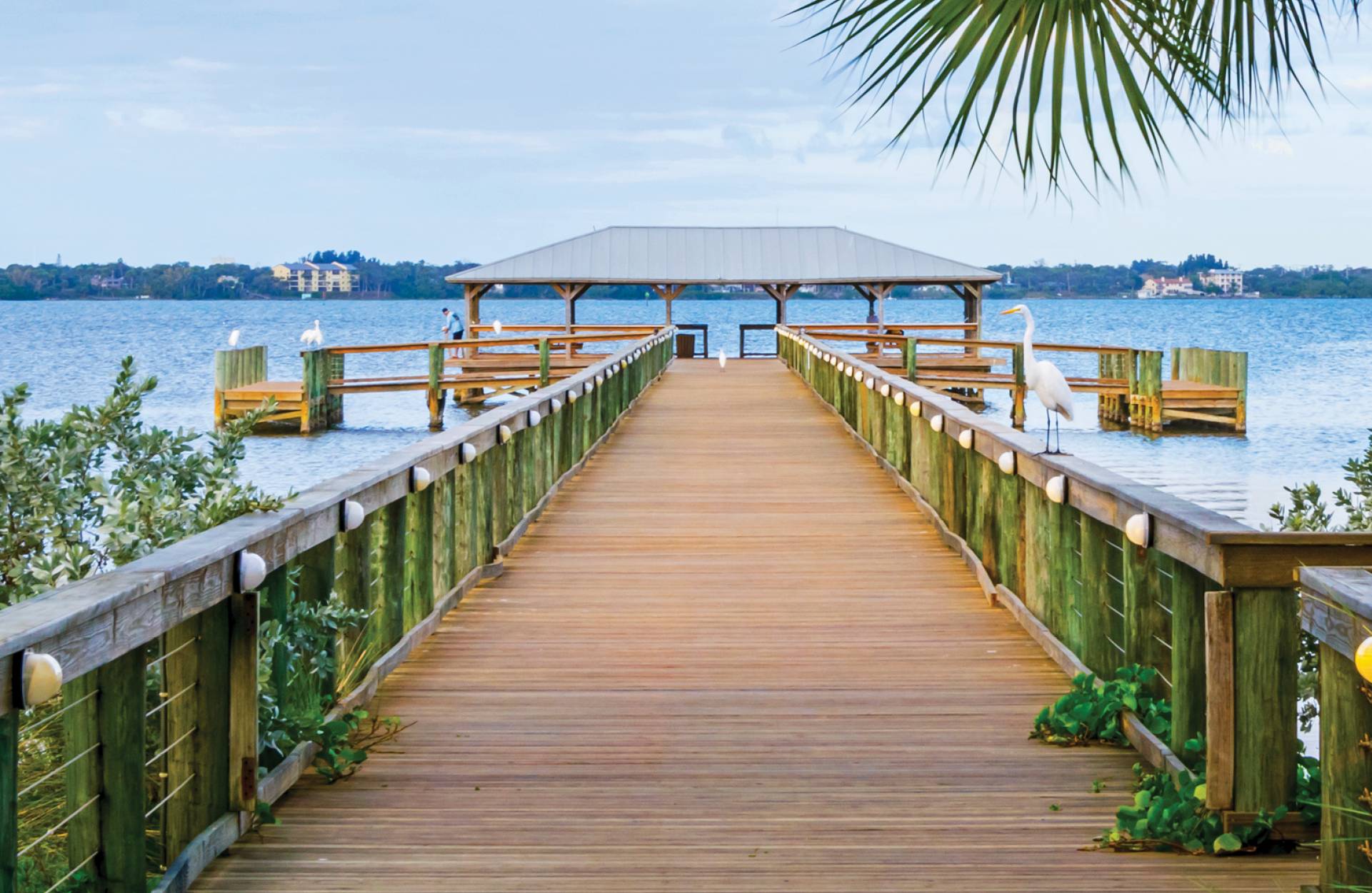 A front view image of the pier leading into the water of Melbourne, Florida
