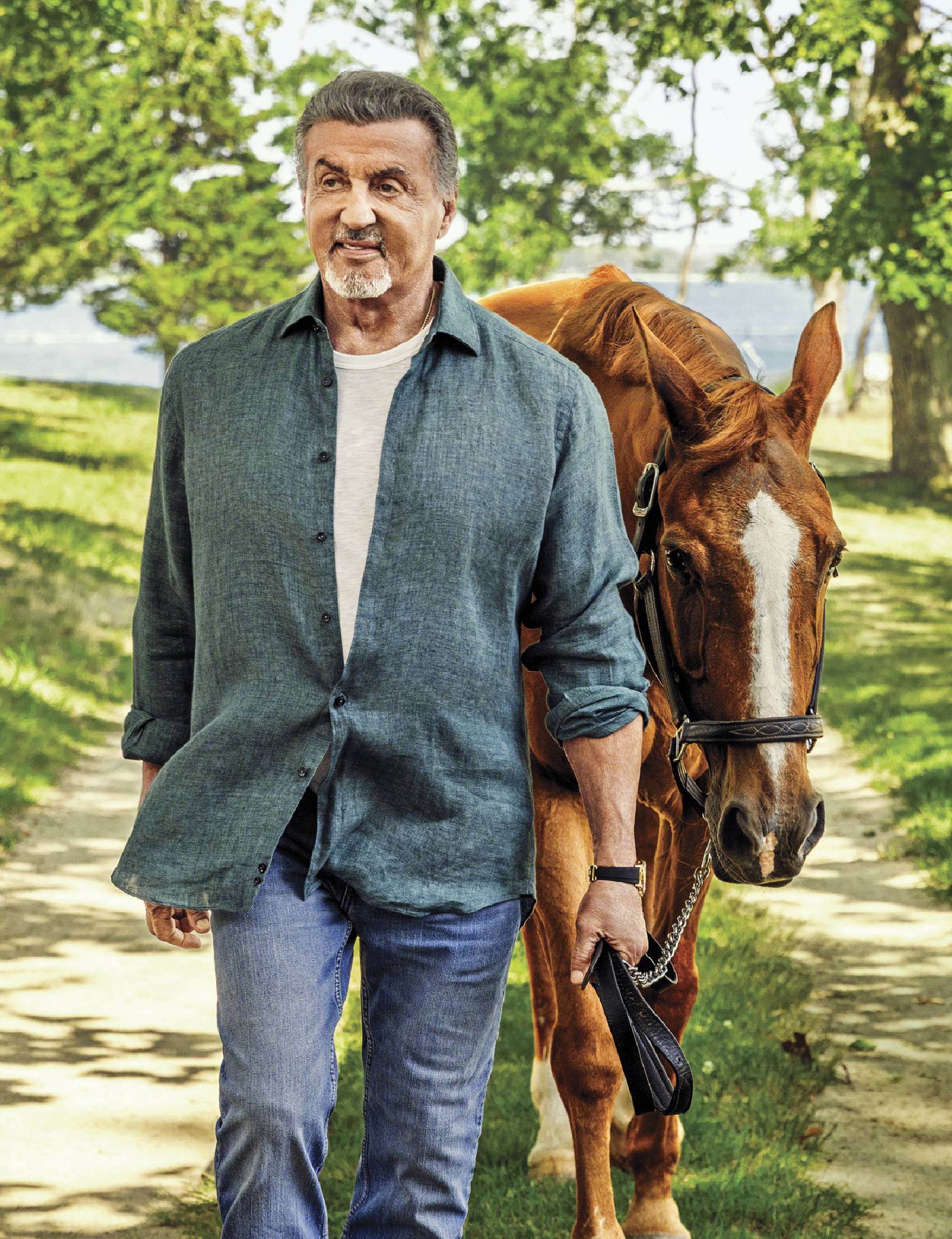 Portrait of Sylvester Stallone walking with a horse. He is wearing a grey button down shirt and jeans