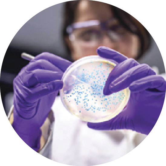 A girl wearing a lab coat and gloves, holding up a petri dish with blue spots on it and looking into it