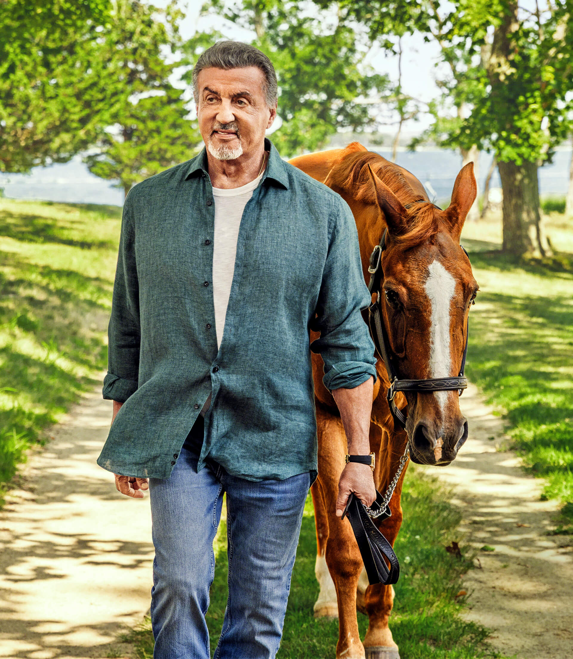 Portrait of Sylvester Stallone walking with a horse. He is wearing a grey button down shirt and jeans