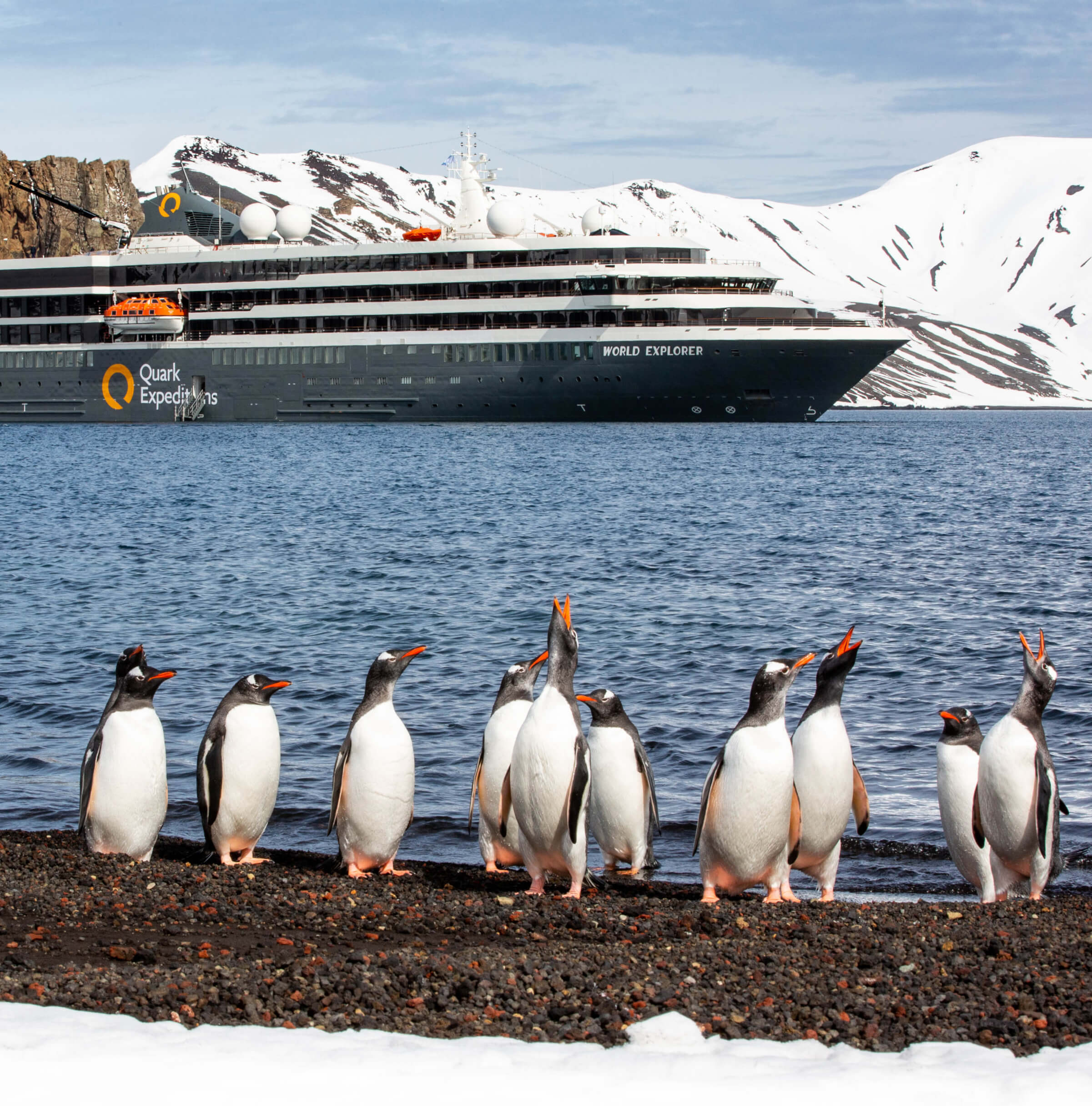 Photo of cruise ship and penguins in Antarctica