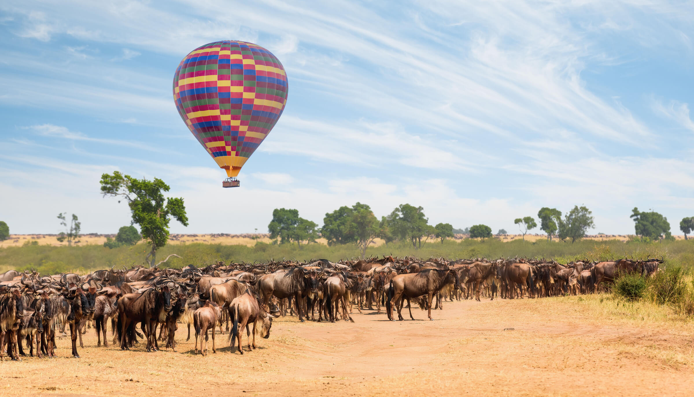 Photo of Hot-air balloon in African savanna