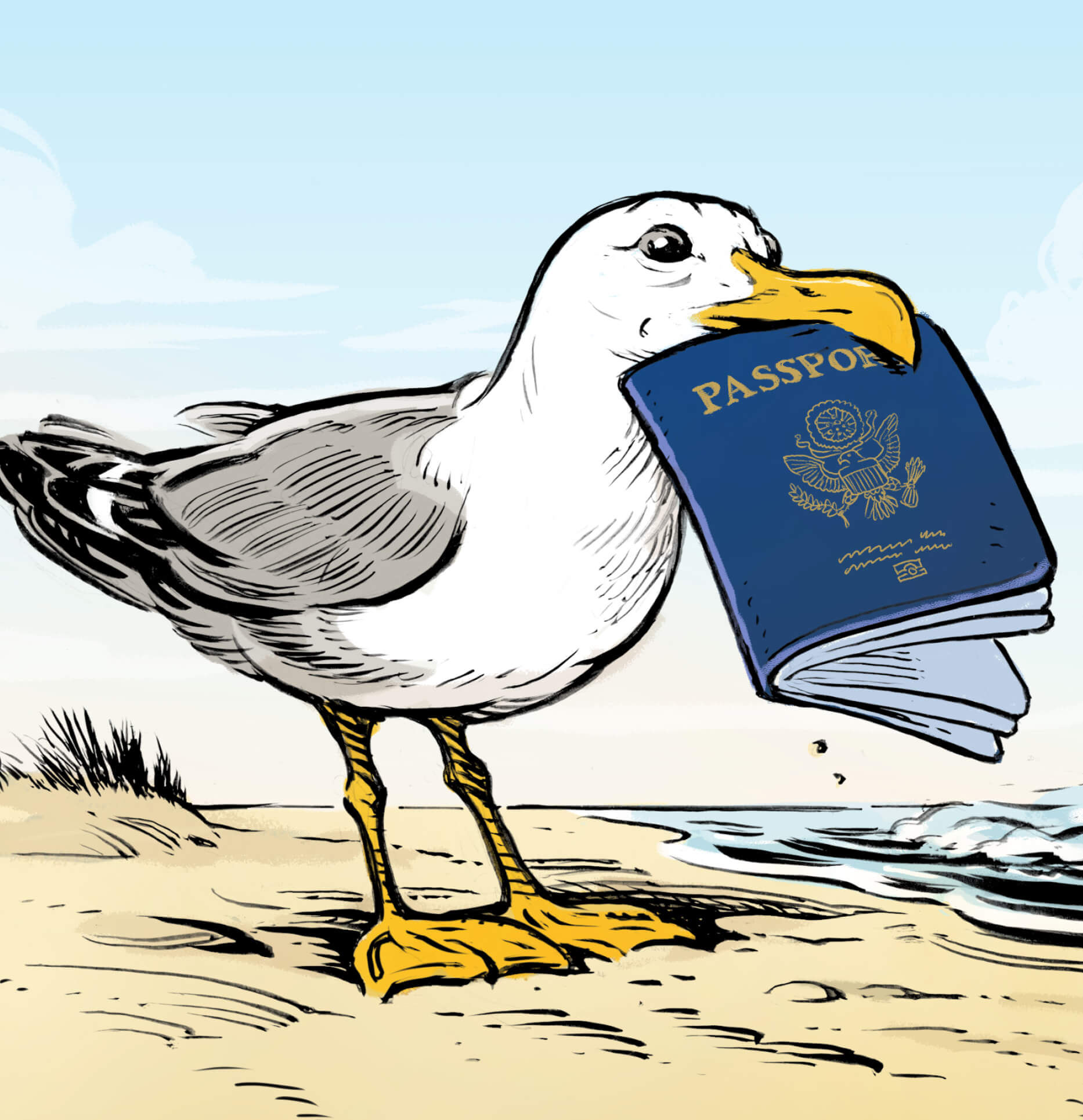 Illustration of a seagull with a passport in its mouth