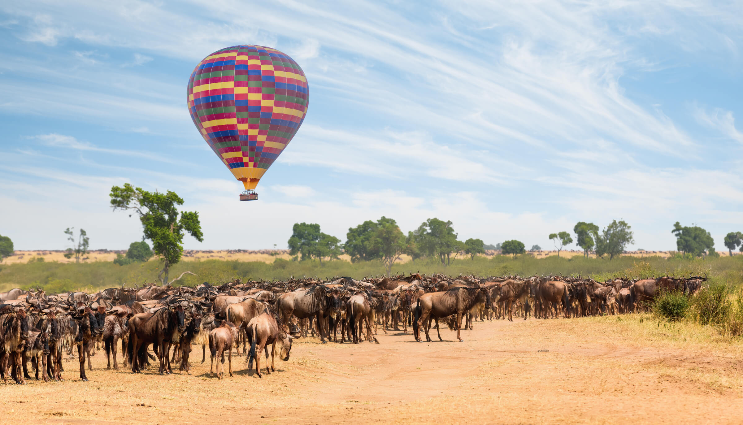 Colorful hot-air balloon in the sky over an African savanna