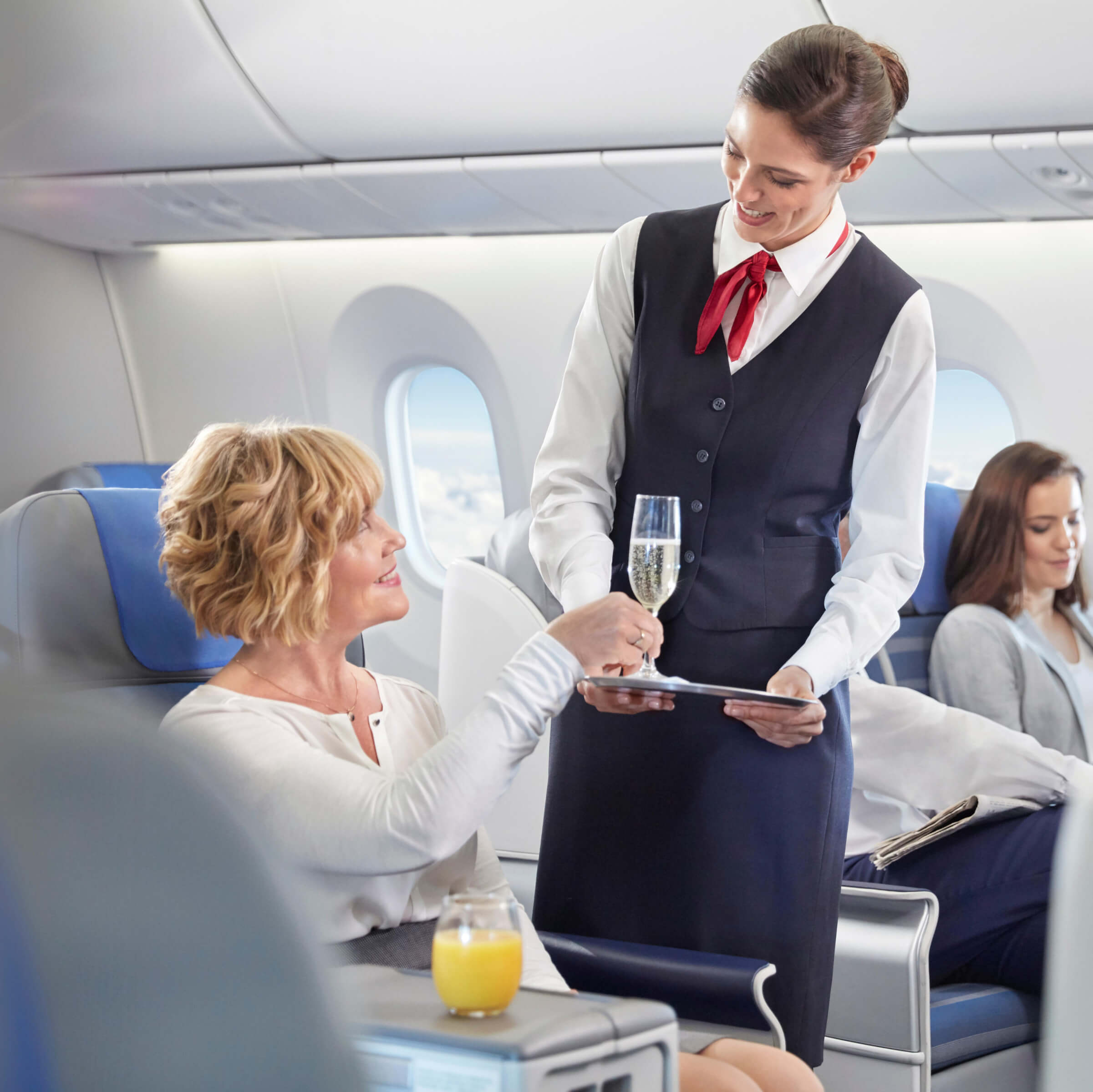 Photo of plane passenger and flight attendant