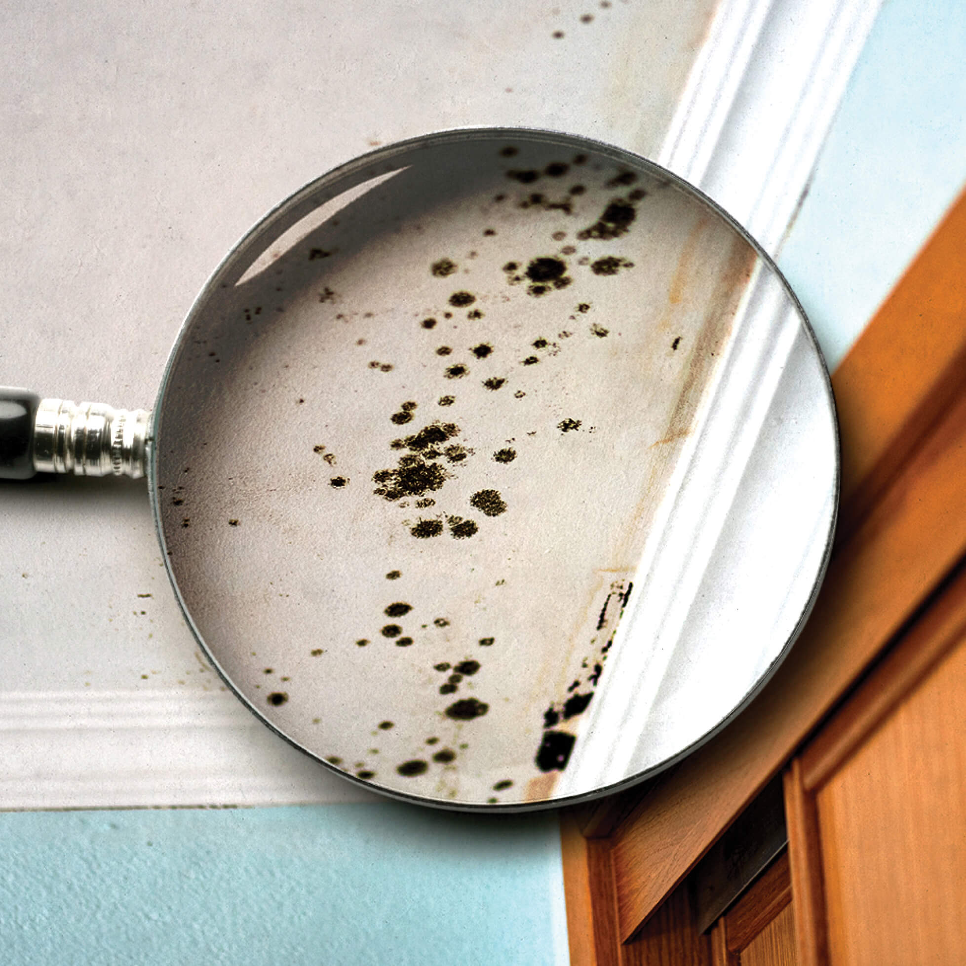 Photo illustration of a magnifying glass over a ceiling corner with mold