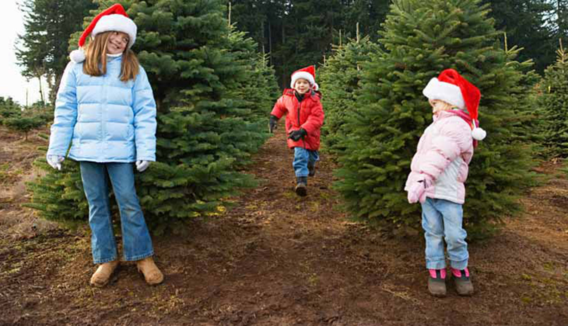 Tres niños corren por una granja de árboles de navidad