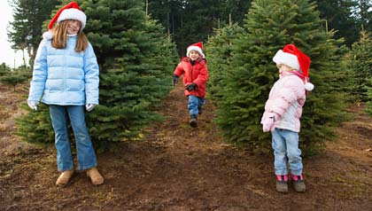 family activities during the christmas season- three children run through a christmas tree farm