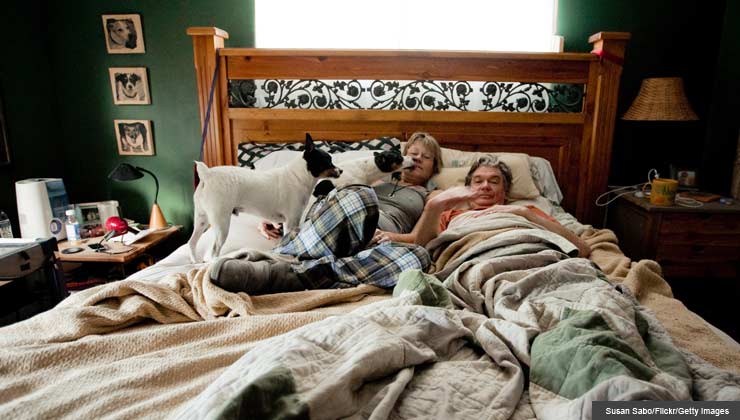 Husband and wife in bed with dogs