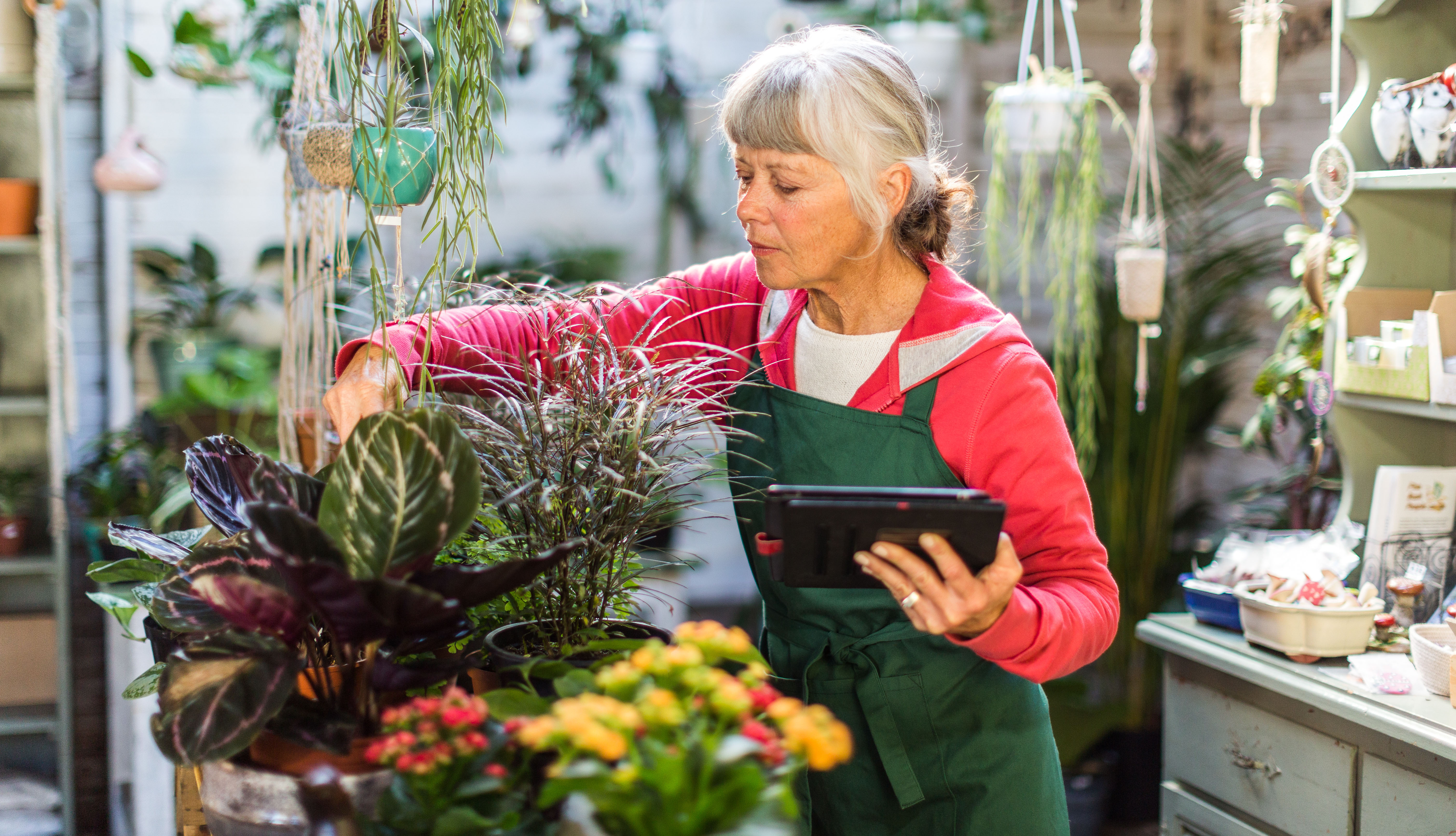 a woman working in a flower shop, tending to a plant and holding a digital tablet