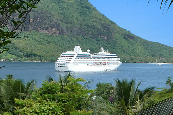 Wave Season Campaign Ad Jan 2025