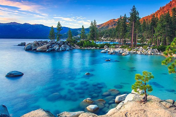 AARP Member Benefit - check it out