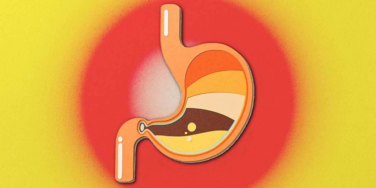 Visualization of a stomach.