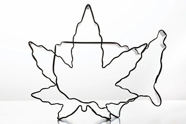 600x400-marijuana-leaf-over-USA-map