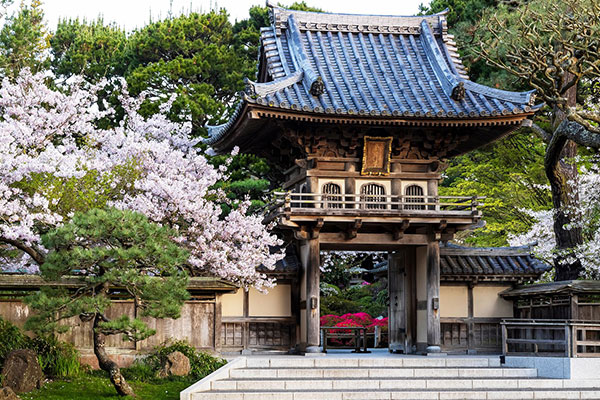 The Japanese Tea Garden in San Francisco