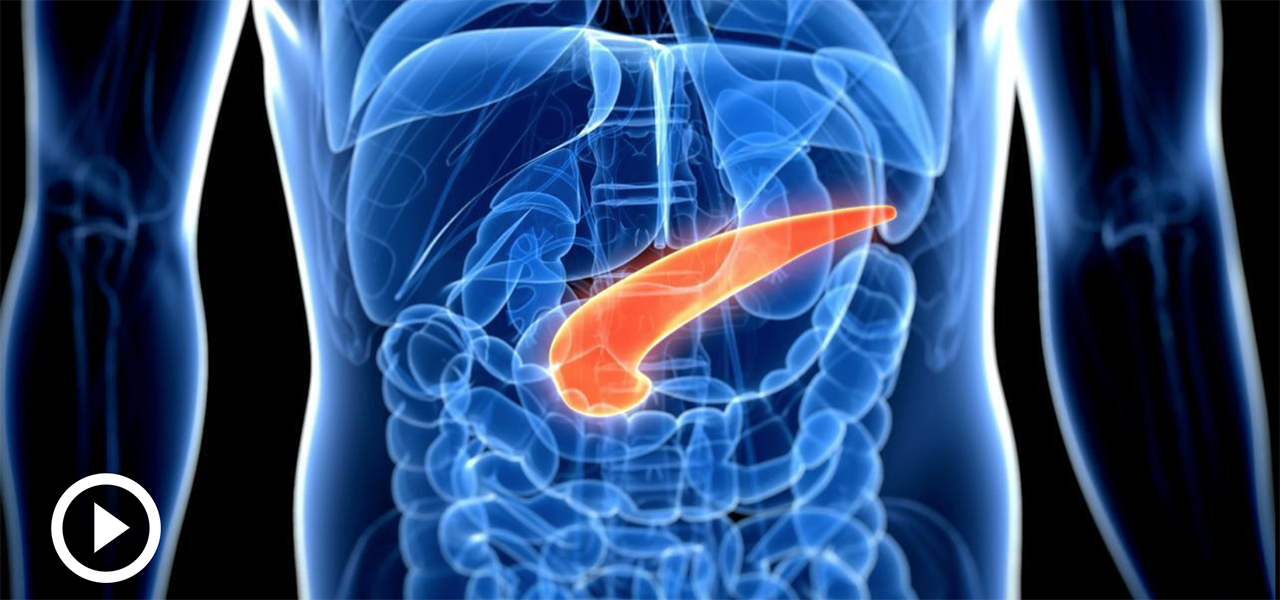 1280x600-pancreatic-cancer