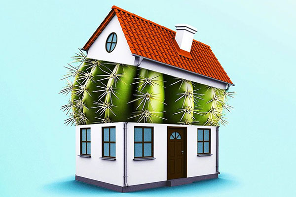 600x400-guide-to-indoor-plants