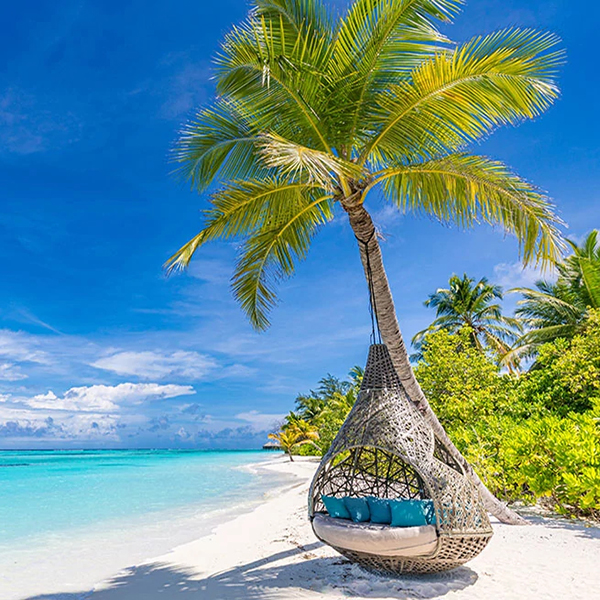 600x600-palm-tree-hammock-hanging-beach-blue-skies