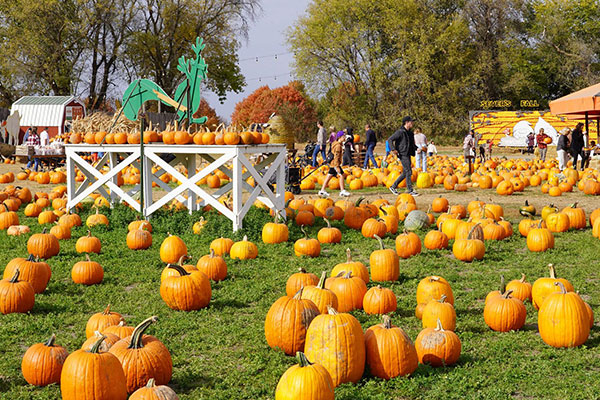 600x400-fall-festivals