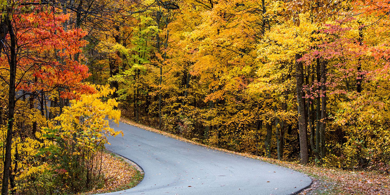 winding road through vibrant fall foliage