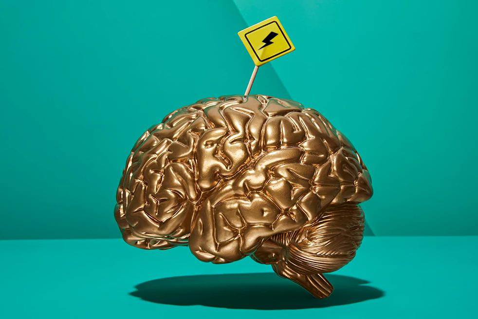 gold brain