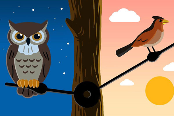 600x400-night-owl-early-bird